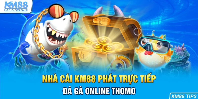 Đá gà trực tiếp KM88 - nơi làm giàu cho không ít khách hàng