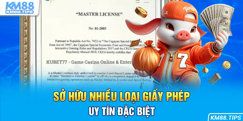 Các loại giấy phép hoạt động mang nhiều ý nghĩa đặc biệt